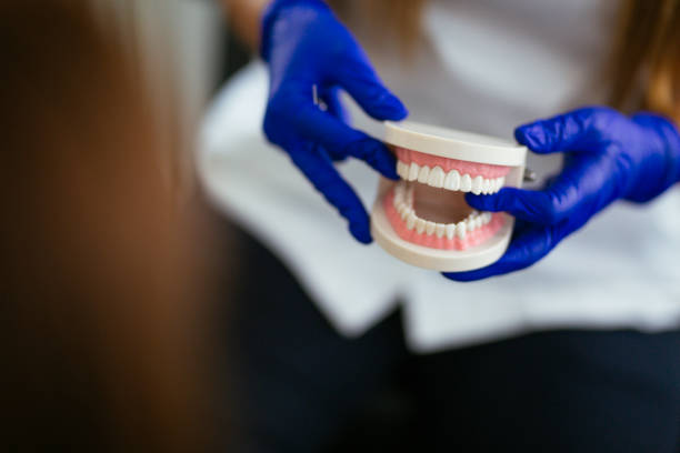 Best Emergency Dental Care  in Forest Lake, MN
